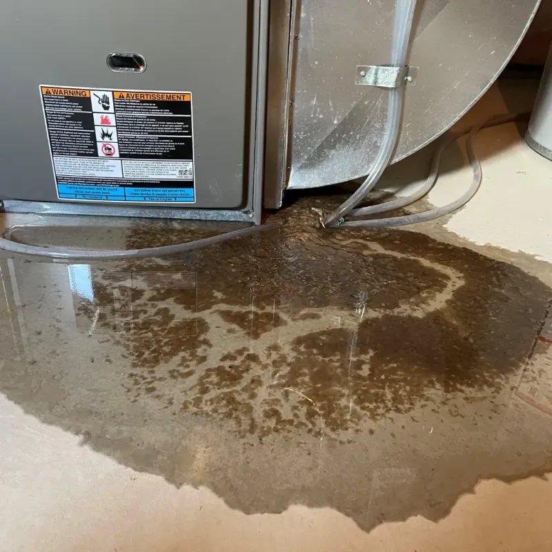 Appliance Leak Cleanup in Prien, LA